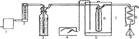 1651707703145471.jpg 3.jpg